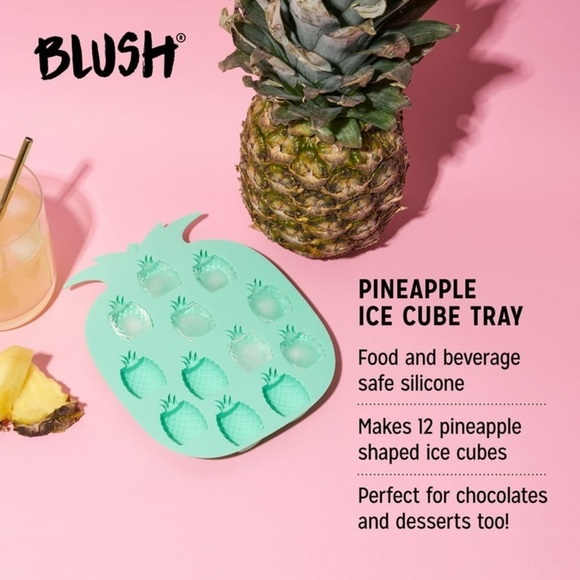 Blush Pineapple Shaped Ice Mold BRAND NEW NWT - Picture 3 of 7